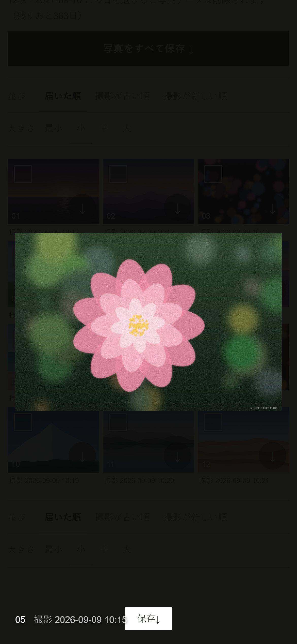写真を大きく開いた画面